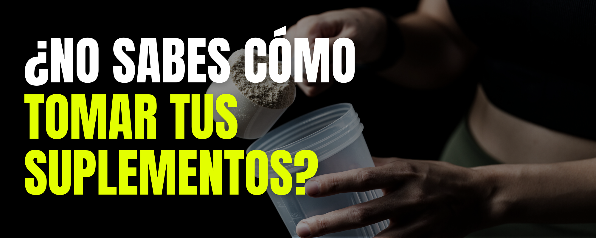 Guía completa de suplementos